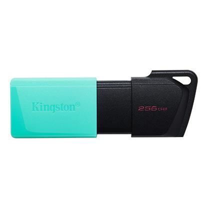 Изображение USB flash Kingston DataTraveler Exodia M,(USB 3.2/256 Гб)-зеленый (DTXM/256GB)