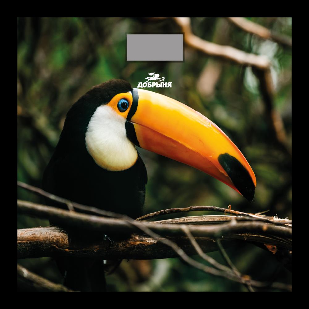 Изображение Весы Добрыня DO - 3006R (180кг) элект. (Тукан) x10,рисунок